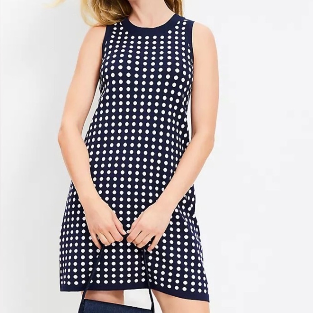 LOFT Navy and White Polka Dot Dress